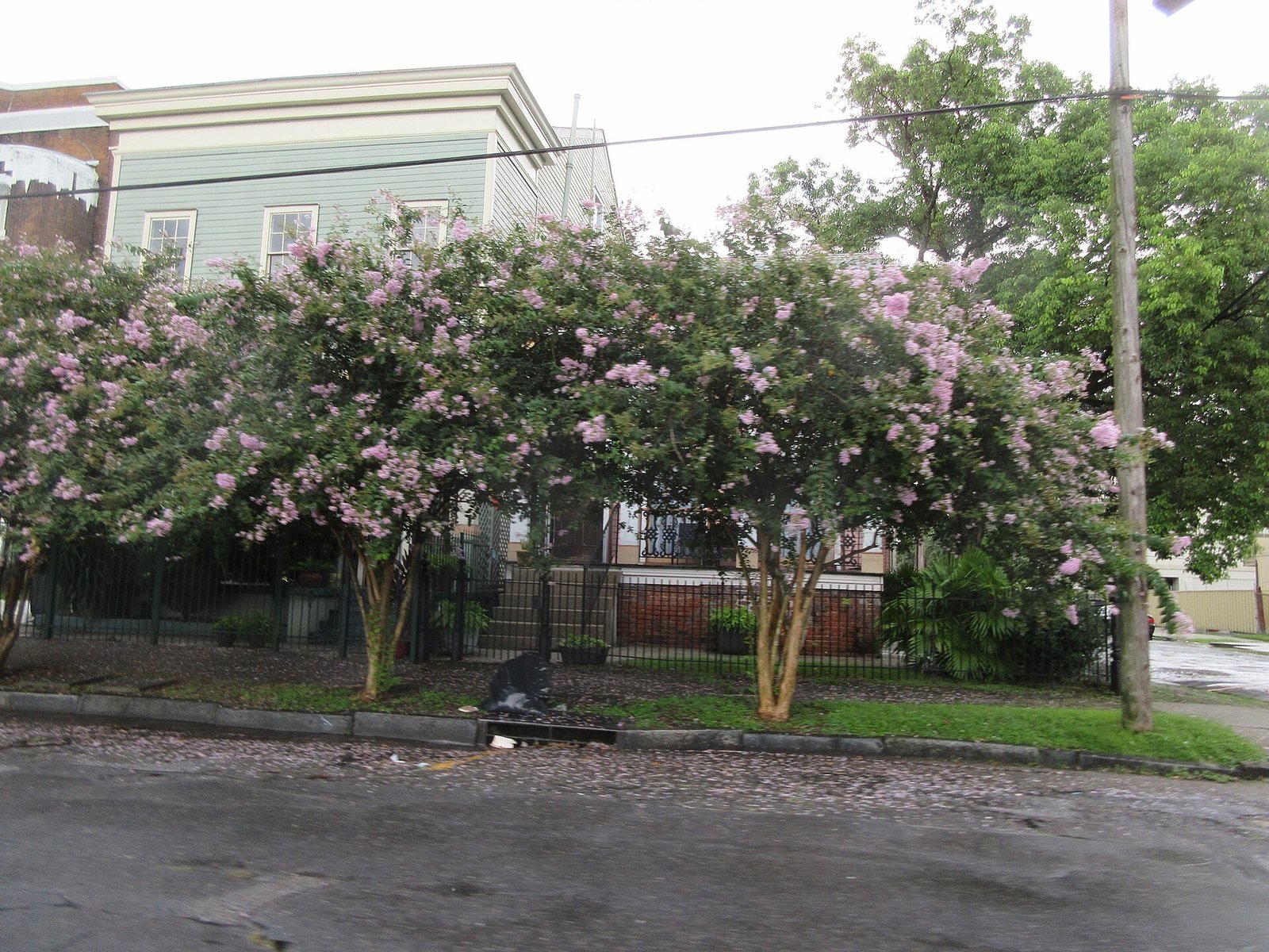 A residential street of houses